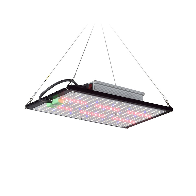 Plant Grow Light Full Spectrum - LED量子ボード育成ライト フルスペクトラム 吊り下げ式植物補助照明装置 室内温室用野菜・花用