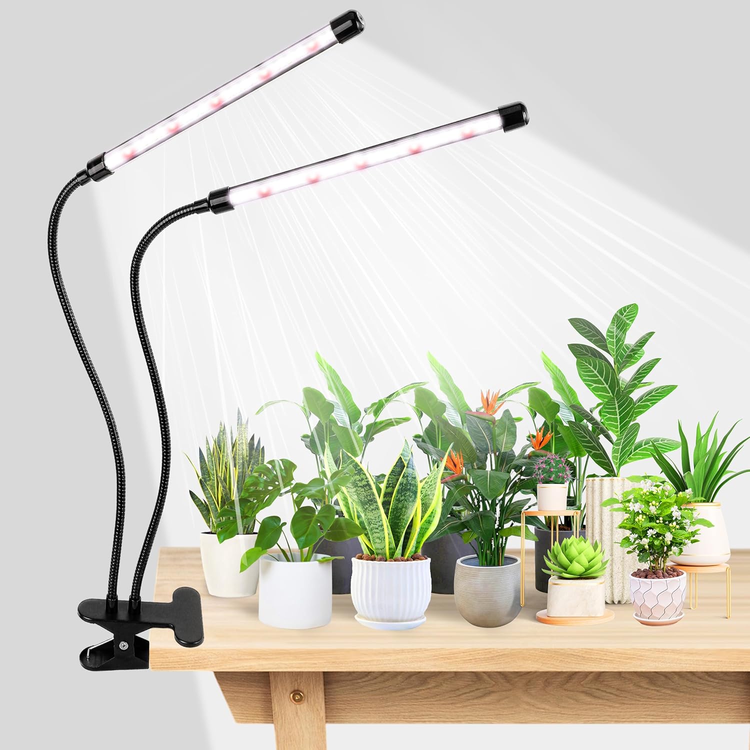 Hydroponic Grow Pod - KEBINCPLED USB 5V クリップ式植物育成ライト LED鉢植え植物成長ランプ 白赤