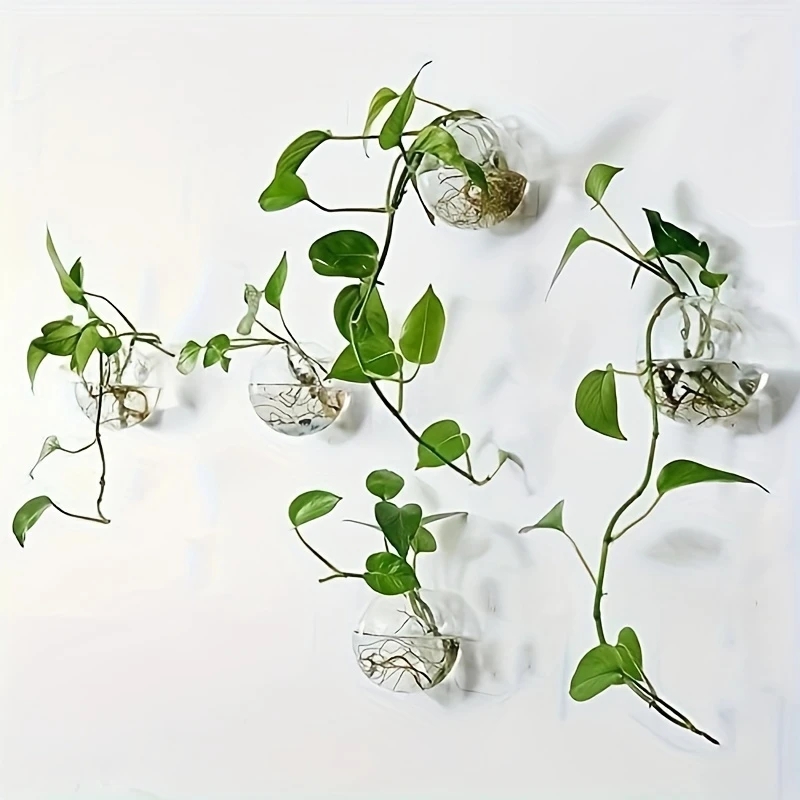 Self Watering Planter - 2/4/6個セット 壁掛けガラス製テラリウム - 自動給水式水耕栽培プランター、ホームオフィス装飾用、手作りの丸型クリスタル花瓶