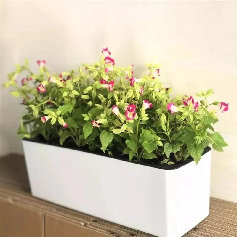 Hydroponic Grow Pod - 長方形怠惰な植木鉢鉢植え水耕プラスチック植木鉢 + 水位インジケーター自動吸水植木鉢