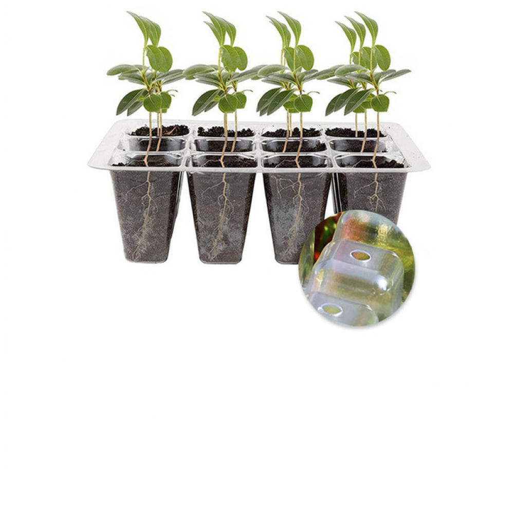 Indoor Garden Kit - 植物育成用ライトスターターキット。屋内での家庭菜園や植物の増殖に最適な、高天井型の温室と育苗用具のセット。