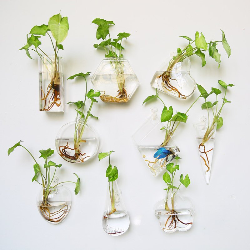 Self Watering Planter - 壁掛けガラステラリウム - 自動給水式水耕栽培プランター（家庭・オフィス装飾用）、ガラス水耕栽培プランター＆水槽