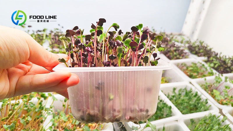 スマート水耕栽培20フィート/40フィート輸送コンテナ農場垂 - Hydroponic Tower のレビューと価格