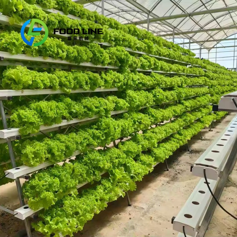 スマート水耕栽培20フィート/40フィート輸送コンテナ農場垂 - Hydroponic Tower のレビューと価格
