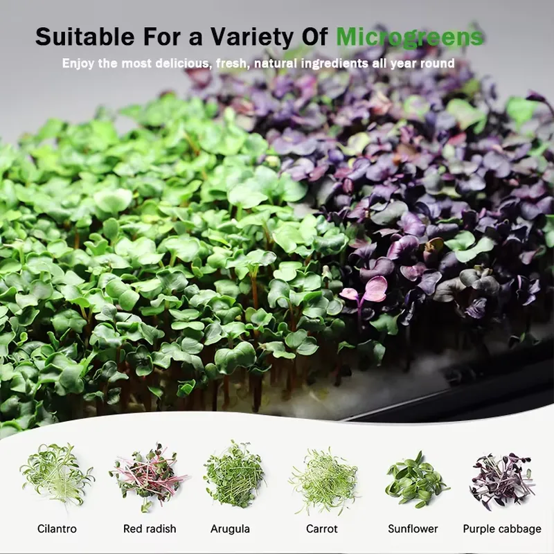 マイクログリーン自動給水水耕栽培プランター育成システム（育成 - Indoor Garden Kit のレビューと価格