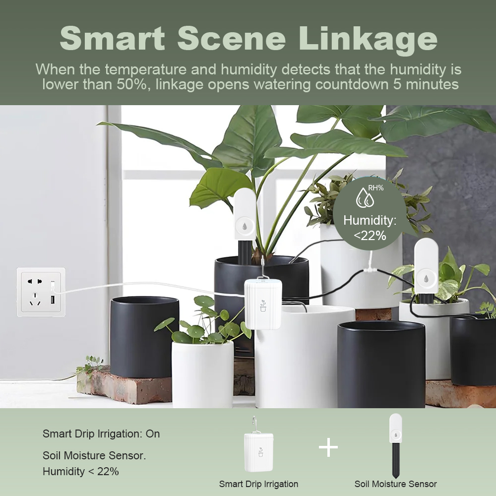5個入り ZigBee 3.0 土壌水分計 便利なガーデニン - Garden Camera のレビューと価格