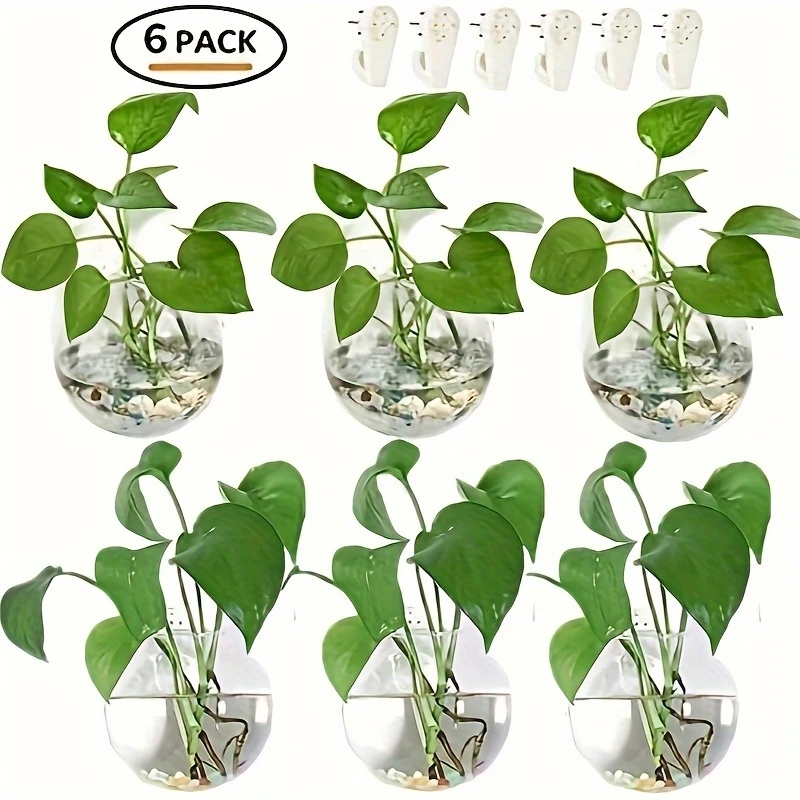 2/4/6個セット 壁掛けガラス製テラリウム - 自動給水式 - Self Watering Planter のレビューと価格