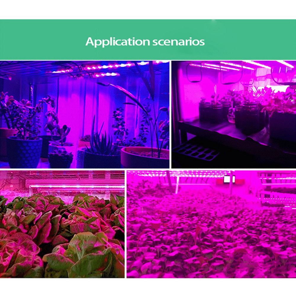ABUH-5V 5メートル植物育成用LEDライト、全スペクト - Plant Grow Light Full Spectrum のレビューと価格
