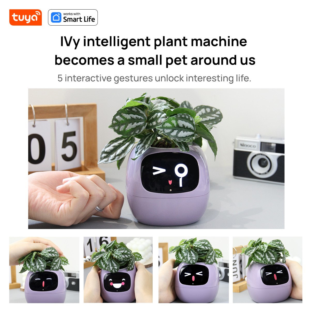 Tuya ivyスマートプランター、永遠の楽しみ、49の豊富 - Smart Pot のレビューと価格