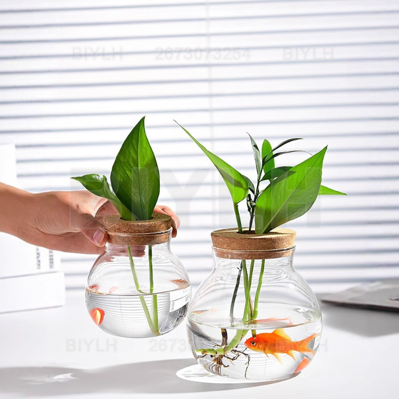 水耕栽培植物ガラス花瓶コルク蓋付き家の装飾透明植木鉢ガーデン - Hydroponic Grow Pod のレビューと価格
