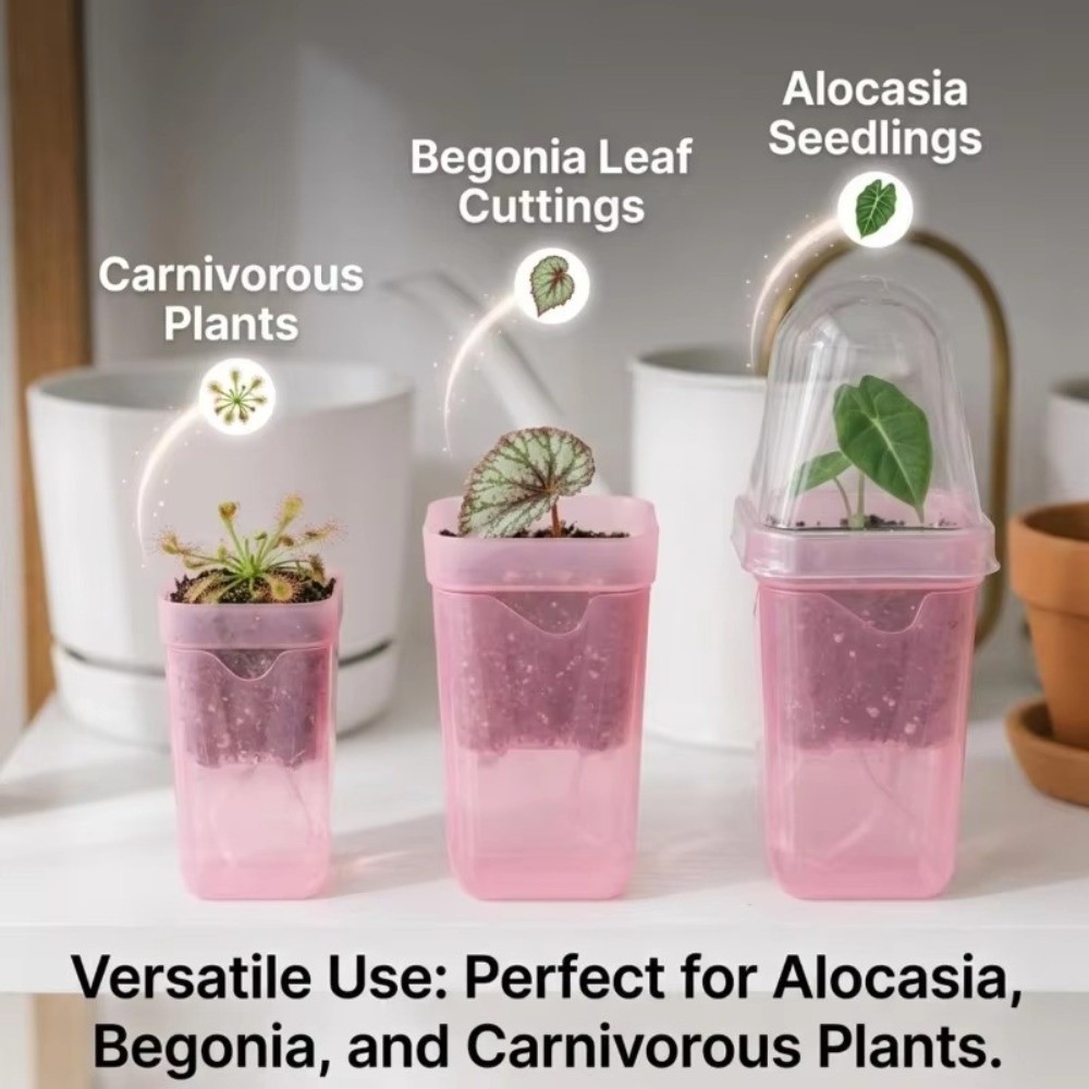 プラスチック製自動給水植木鉢 二層構造 根元が見える透明な植 - Hydroponic Grow Pod のレビューと価格