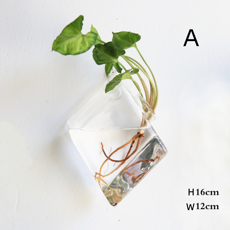 壁掛けガラステラリウム - 自動給水式水耕栽培プランター（家 - Self Watering Planter のレビューと価格