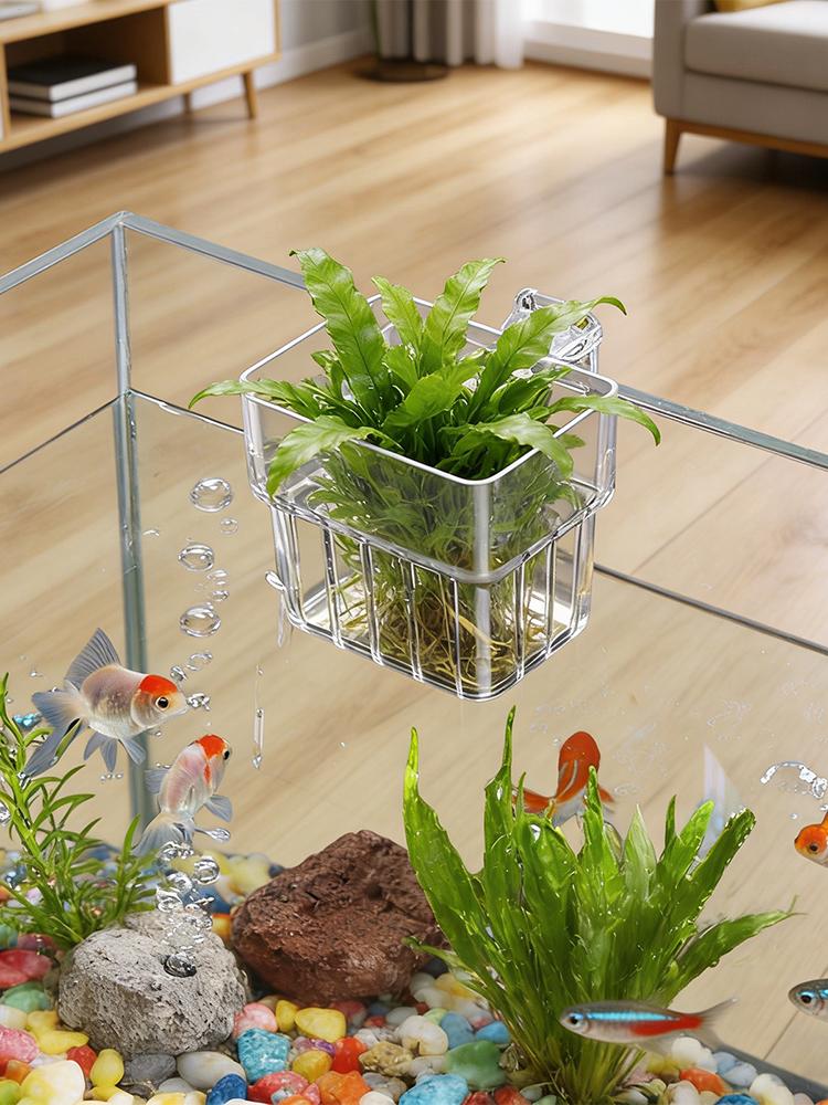 水槽植物ホルダー 透明な水槽装飾ポット 水生植物ホルダー ノ - Hydroponic Grow Pod のレビューと価格
