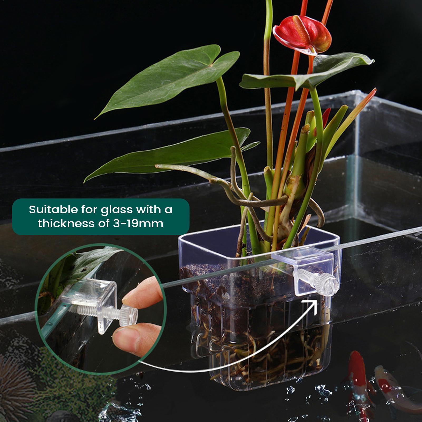 水槽植物ホルダー 透明な水槽装飾ポット 水生植物ホルダー ノ - Hydroponic Grow Pod のレビューと価格