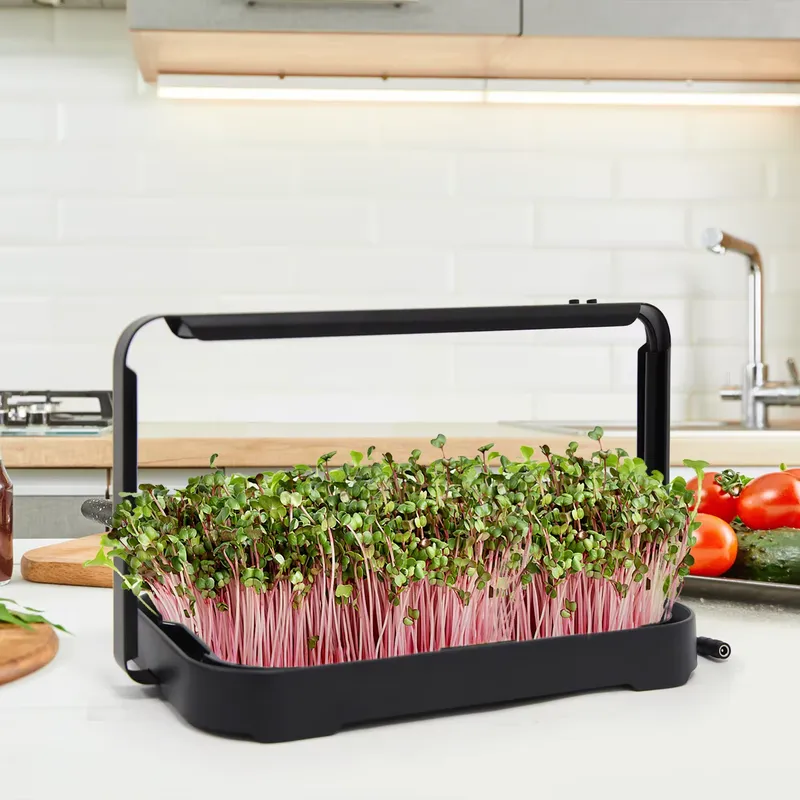 水耕栽培トレイ 室内マイクログリーン マイクログリーン種子  - Smart Garden Kit のレビューと価格