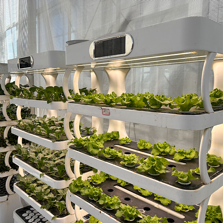 スマートな屋内ガーデンプランター - LED育成ライト付きの - Smart Garden System のレビューと価格