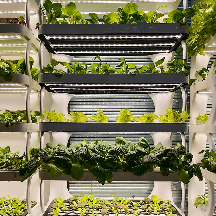 スマートな屋内ガーデンプランター - LED育成ライト付きの - Smart Garden System のレビューと価格